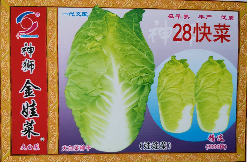 28快菜——精品快菜